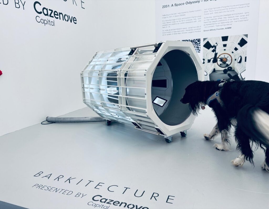 Pies zaglądający do projektu 2051: A Space Odyssey, Barkitecture 2026, festiwal Goodwoof.