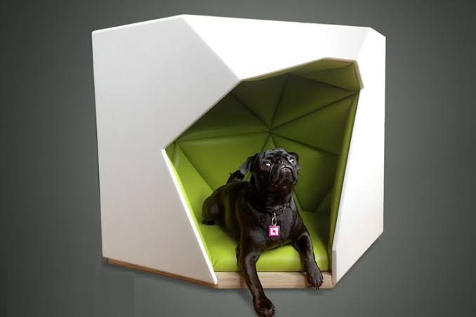 Nazwa projektu: GEO/Dog

Projektant: Laser Lab Studio

Rok Barkitecture: 2022