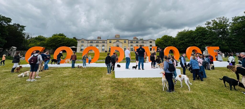 Goodwoof Festiwal 2026 brytyjski design dla psa