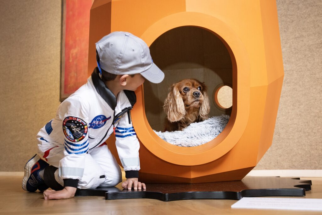 archinautX Barkitecture 2026 Goodwoof