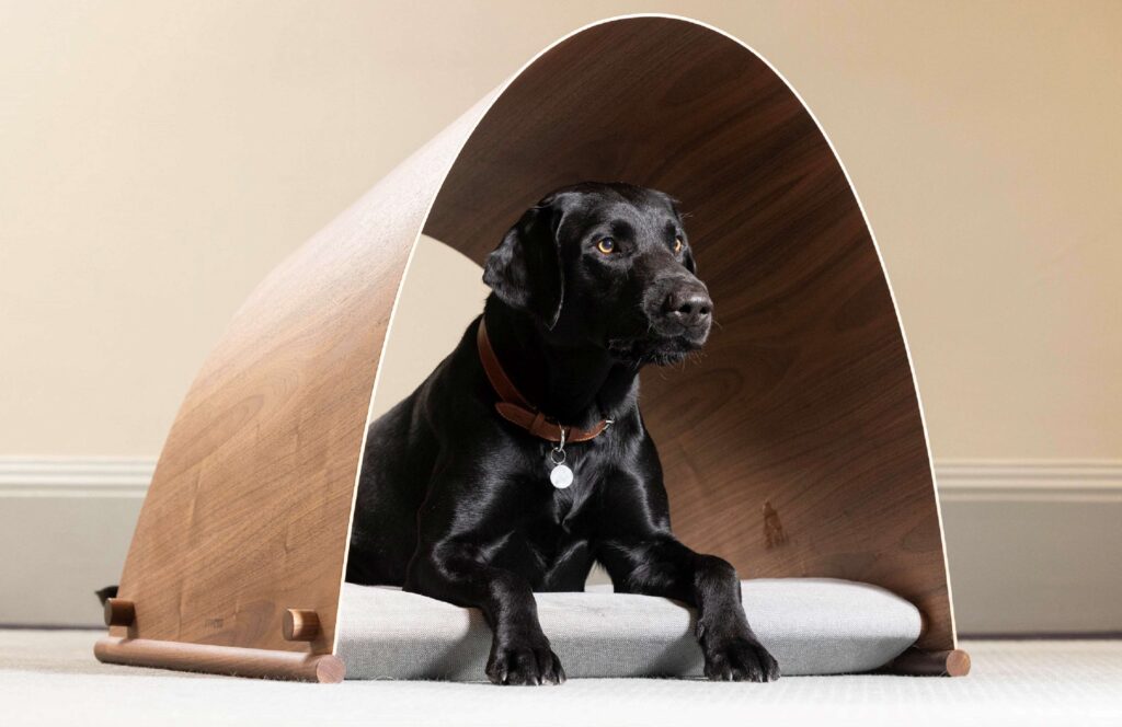 konkurs bud dla psów, BARC dog 2022 Barkitecture