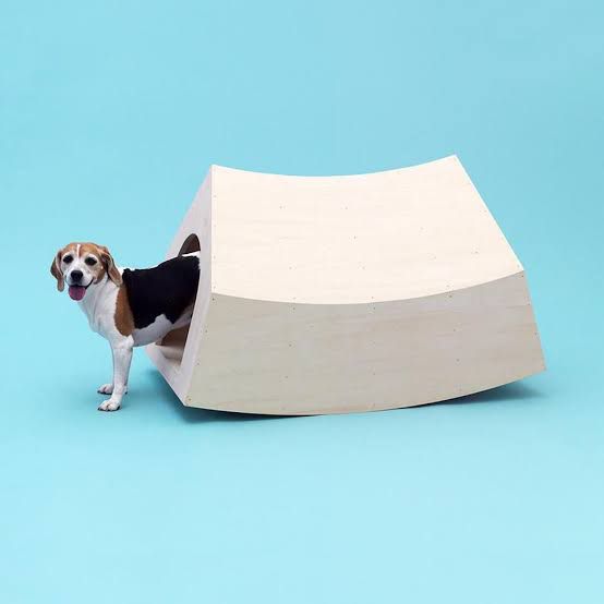 Buda z ekologicznej sklejki, Nomad Juno,  Barkitecture: 2022